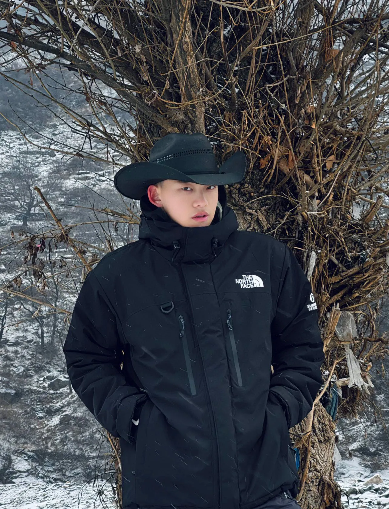 The north face/
